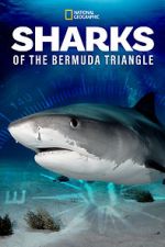 Watch Sharks of the Bermuda Triangle (TV Special 2020) Letmewatchthis