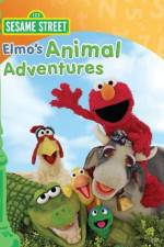 Watch Elmos Animal Adventures Letmewatchthis