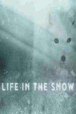 Watch Life in the Snow Letmewatchthis