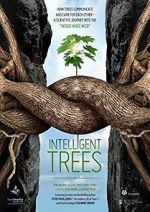 Watch Intelligent Trees Letmewatchthis