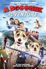 Watch A Doggone Adventure Letmewatchthis