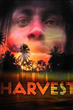 Watch Harvest Letmewatchthis