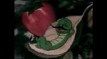 Watch The Wacky Worm (Short 1941) Letmewatchthis