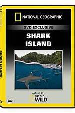 Watch National Geographic: Shark Island Letmewatchthis