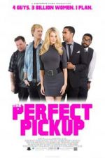 Watch The Perfect Pickup Letmewatchthis
