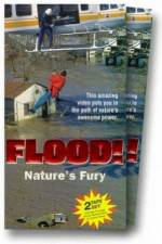 Watch Flood Letmewatchthis
