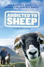 Watch Addicted to Sheep Letmewatchthis
