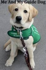 Watch Me And My Guide Dog Letmewatchthis