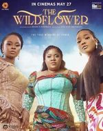 Watch The Wildflower Letmewatchthis