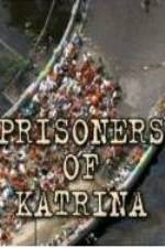 Watch Prisoners of Katrina Letmewatchthis