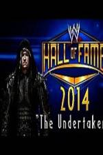 Watch WWE Hall Of Fame 2014 Letmewatchthis