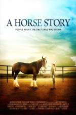 Watch A Horse Story Letmewatchthis