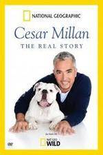 Watch Cesar Millan: The Real Story Letmewatchthis