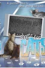 Watch Shorts for Cats Letmewatchthis