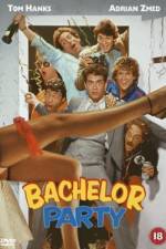 Watch Bachelor Party Letmewatchthis