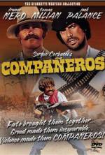 Watch Companeros Letmewatchthis