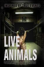 Watch Live Animals Letmewatchthis