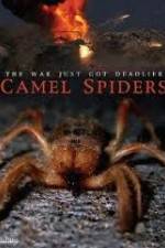 Watch Camel Spiders Letmewatchthis