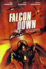 Watch Falcon Down Letmewatchthis
