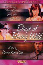 Watch Days of Being Wild Letmewatchthis