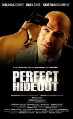 Watch Perfect Hideout Letmewatchthis