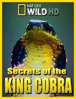 Watch Secrets of the King Cobra Letmewatchthis