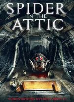 Watch Spider from the Attic Letmewatchthis