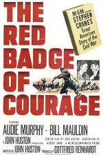 Watch The Red Badge of Courage Letmewatchthis