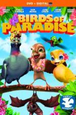 Watch Birds of Paradise Letmewatchthis