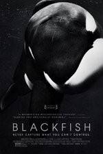 Watch Blackfish Letmewatchthis