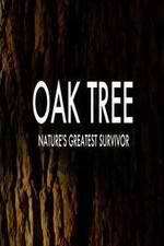 Watch Oak Tree Natures Greatest Survivor Letmewatchthis
