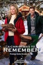 Watch A Christmas to Remember Letmewatchthis