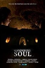 Watch Wandering Soul Letmewatchthis