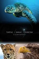 Watch Turtle, Eagle, Cheetah: A Slow Odyssey Letmewatchthis