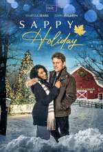 Watch Sappy Holiday Letmewatchthis
