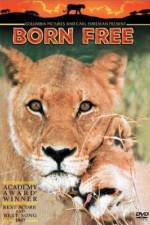 Watch Born Free Letmewatchthis