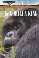 Watch Nature The Gorilla King Letmewatchthis