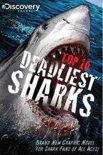 Watch National Geographic Worlds Deadliest Sharks Letmewatchthis