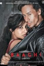 Watch Baaghi Letmewatchthis
