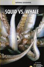 Watch National Geographic Wild - Squid Vs Whale Letmewatchthis