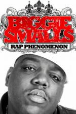 Watch Biggie Smalls Rap Phenomenon Letmewatchthis