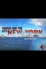 Watch Sharks and the City: New York Letmewatchthis