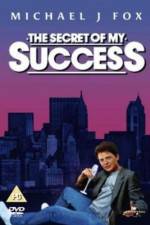 Watch The Secret of My Succe$s Letmewatchthis