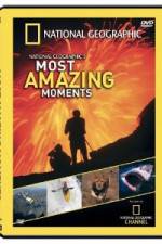 Watch National Geographic's Most Amazing Moments Letmewatchthis