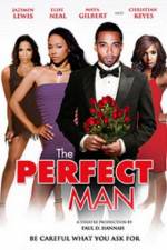 Watch The Perfect Man Letmewatchthis