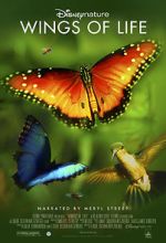 Watch Disneynature: Wings of Life Letmewatchthis