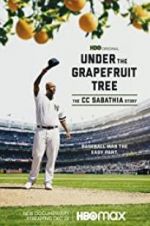 Watch Under the Grapefruit Tree: The CC Sabathia Story Letmewatchthis