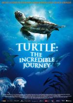 Watch Turtle: The Incredible Journey Letmewatchthis