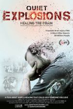 Watch Quiet Explosions: Healing the Brain Letmewatchthis