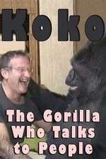 Watch Koko: The Gorilla Who Talks to People Letmewatchthis